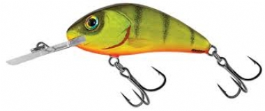 HOT PERCH